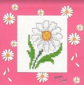 Card for Daisybella