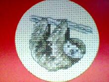 Card for Desteni S