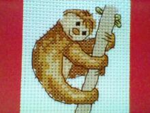 Card for B