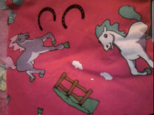 Fabric for Bethan G