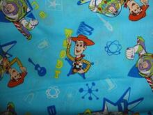 Fabric for William E