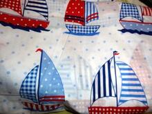 Fabric for Zak H