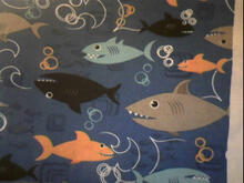 Fabric for Joshua B