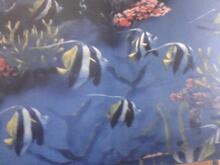 Fabric for Cody-John