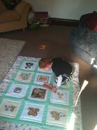 Jack B's quilt