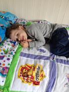 Freddie F's quilt