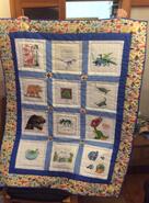 Alexander C's quilt
