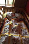 Stevie L's quilt