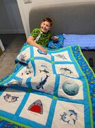 Niall B's quilt