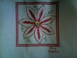Cross stitch square for Amina Q's quilt