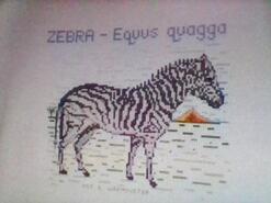 Cross stitch square for any child