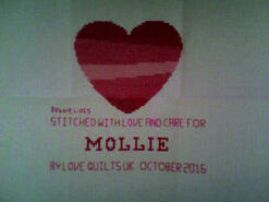 Cross stitch square for Mollie R's quilt