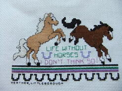 Cross stitch square for Iona's quilt