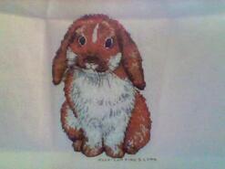 Cross stitch square for Grace-Ellie J's quilt