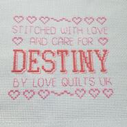 Cross stitch square for Destiny M's quilt