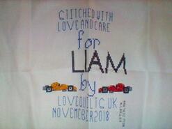 Cross stitch square for Liam O's quilt