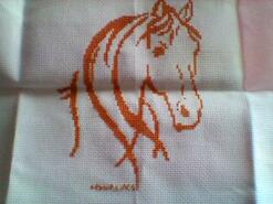 Cross stitch square for Libby T's quilt
