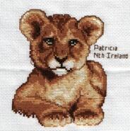 Cross stitch square for Nathan B's quilt