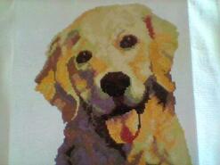 Cross stitch square for Charlie R's quilt