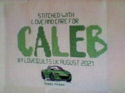 Cross stitch square for Caleb P's quilt