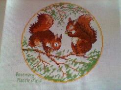 Cross stitch square for Miley D's quilt