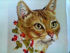 Cross stitch square for Grace O's quilt