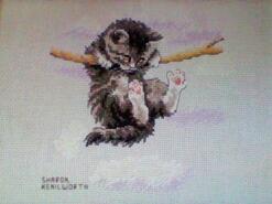 Cross stitch square for Leela H's quilt
