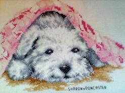 Cross stitch square for Leela H's quilt