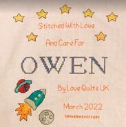 Cross stitch square for Owen B's quilt