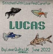 Cross stitch square for Lucas's quilt
