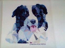 Cross stitch square for Edward F's quilt