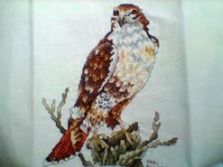 Cross stitch square for Yasmin's quilt