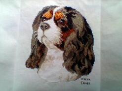 Cross stitch square for Phoenix H's quilt