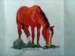 Cross stitch square for Araya N's quilt