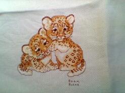 Cross stitch square for Megan E's quilt