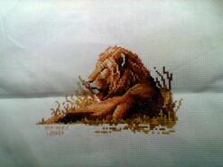 Cross stitch square for Oakley H's quilt