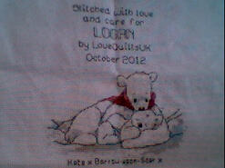 Cross stitch square for Logan M's quilt
