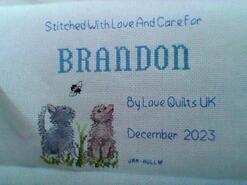 Cross stitch square for Brandon's quilt