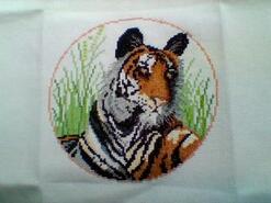 Cross stitch square for Ava H's quilt