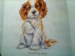 Cross stitch square for Katie B's quilt