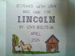 Cross stitch square for Lincoln's quilt