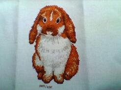 Cross stitch square for Lincoln's quilt