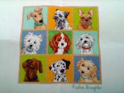 Cross stitch square for Lincoln's quilt