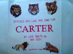 Cross stitch square for Carter D's quilt