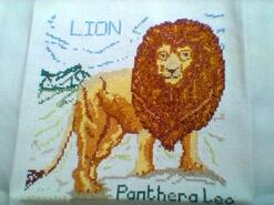 Cross stitch square for Carter D's quilt