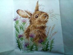 Cross stitch square for Eliana F's quilt