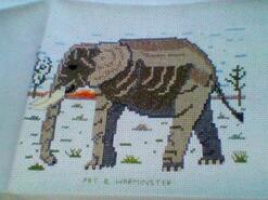 Cross stitch square for Ada S's quilt