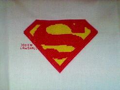 Cross stitch square for Eli K's quilt