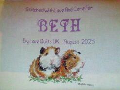 Cross stitch square for Beth M's quilt