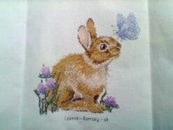 Cross stitch square for Beth M's quilt
